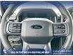 2026 Ford F-150 XLT (Stk: 26AT1784A) in Airdrie - Image 14 of 25