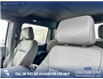 2026 Ford F-150 XLT (Stk: 26AT5552) in Airdrie - Image 20 of 25