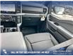2026 Ford F-150 XLT (Stk: 26AT5552) in Airdrie - Image 25 of 25