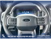 2026 Ford F-150 XLT (Stk: 26AT0678) in Airdrie - Image 14 of 25
