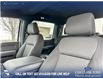 2026 Ford F-150 XLT (Stk: 26AT0678) in Airdrie - Image 20 of 25
