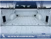 2026 Ford F-150 STX (Stk: 26AT6215) in Airdrie - Image 12 of 25