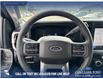 2026 Ford F-350 Lariat (Stk: 26T6046) in Red Deer - Image 13 of 24