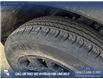 2026 Ford Bronco Sport Big Bend (Stk: 26S7967) in Red Deer - Image 7 of 25