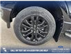 2026 Ford F-150 XLT (Stk: 26T9443) in Red Deer - Image 6 of 24 2026 Ford F-150 XLT (Stk: 26T9443) in Red Deer - Image 6 of 24