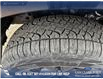 2026 Ford F-150 XLT (Stk: 26T9443) in Red Deer - Image 7 of 24 2026 Ford F-150 XLT (Stk: 26T9443) in Red Deer - Image 7 of 24