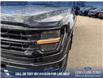 2026 Ford F-150 XLT (Stk: 26T9443) in Red Deer - Image 8 of 24 2026 Ford F-150 XLT (Stk: 26T9443) in Red Deer - Image 8 of 24