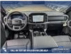 2026 Ford F-150 XLT (Stk: 26T9443) in Red Deer - Image 23 of 24 2026 Ford F-150 XLT (Stk: 26T9443) in Red Deer - Image 23 of 24