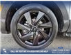 2024 Hyundai Santa Cruz Ultimate (Stk: U37319) in Red Deer - Image 6 of 25