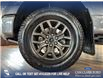 2023 Ford F-150 Tremor (Stk: RC19578) in Airdrie - Image 6 of 25