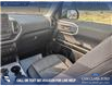 2021 Ford Bronco Sport Big Bend (Stk: P1092) in Innisfail - Image 16 of 23