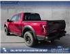 2017 Ford F-150 Raptor (Stk: P1496) in Canmore - Image 4 of 23