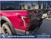 2017 Ford F-150 Raptor (Stk: P1496) in Canmore - Image 10 of 23