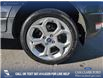2021 Ford EcoSport SE (Stk: P1531) in Canmore - Image 6 of 24