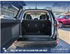 2021 Ford EcoSport SE (Stk: P1531) in Canmore - Image 11 of 24