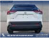 2023 Toyota RAV4 LE (Stk: P1112) in Innisfail - Image 5 of 24