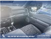 2024 Ford F-150 Tremor (Stk: P6786) in Olds - Image 24 of 24