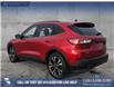 2022 Ford Escape SE (Stk: P1116) in Innisfail - Image 4 of 24 2022 Ford Escape SE (Stk: P1116) in Innisfail - Image 4 of 24