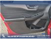 2022 Ford Escape SE (Stk: P1116) in Innisfail - Image 7 of 24 2022 Ford Escape SE (Stk: P1116) in Innisfail - Image 7 of 24