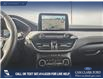 2022 Ford Escape SE (Stk: P1116) in Innisfail - Image 15 of 24 2022 Ford Escape SE (Stk: P1116) in Innisfail - Image 15 of 24