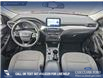 2022 Ford Escape SE (Stk: P1116) in Innisfail - Image 17 of 24 2022 Ford Escape SE (Stk: P1116) in Innisfail - Image 17 of 24