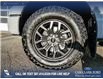2023 Ford F-150 Tremor (Stk: U37819) in Red Deer - Image 6 of 25