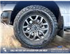 2025 Ford F-150 Tremor (Stk: P14623) in Airdrie - Image 6 of 25