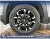 2023 Chevrolet TrailBlazer LT (Stk: BJ291) in Airdrie - Image 6 of 25