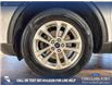 2022 Ford Escape SE (Stk: BJ288) in Airdrie - Image 6 of 25