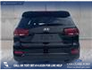 2020 Kia Sorento 3.3L LX+ (Stk: P6807) in Olds - Image 5 of 25