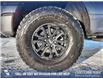 2023 Ford F-150 Tremor (Stk: U37813) in Red Deer - Image 6 of 25