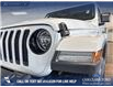2021 Jeep Wrangler Unlimited Sahara (Stk: P14660) in Airdrie - Image 8 of 25