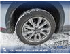 2021 Mazda CX-5 GT (Stk: P6834) in Olds - Image 6 of 24 2021 Mazda CX-5 GT (Stk: P6834) in Olds - Image 6 of 24