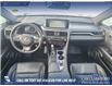 2021 Lexus RX 350 Base (Stk: P1137) in Innisfail - Image 17 of 25