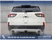 2022 Ford Escape SEL (Stk: U37883) in Red Deer - Image 5 of 24 2022 Ford Escape SEL (Stk: U37883) in Red Deer - Image 5 of 24