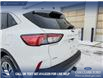 2022 Ford Escape SEL (Stk: U37883) in Red Deer - Image 11 of 24 2022 Ford Escape SEL (Stk: U37883) in Red Deer - Image 11 of 24