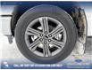 2023 Ford F-150 XLT (Stk: P6840) in Olds - Image 6 of 25