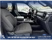2023 Ford F-150 XLT (Stk: P6840) in Olds - Image 22 of 25