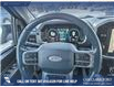 2021 Ford F-150 Limited (Stk: P6770) in Olds - Image 13 of 24