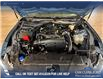 2025 Ford Mustang EcoBoost Premium (Stk: P14738) in Airdrie - Image 10 of 25