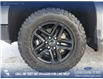 2023 Chevrolet Silverado 1500 LT Trail Boss (Stk: U37894) in Red Deer - Image 7 of 24