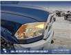 2011 Dodge Ram 2500 SLT (Stk: P6857) in Olds - Image 8 of 24