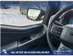 2025 Ford F-150 XLT (Stk: P6873) in Olds - Image 17 of 25