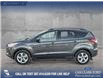 2015 Ford Escape SE (Stk: P6889) in Olds - Image 3 of 5