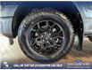 2024 Ford F-150 XLT (Stk: RC19955) in Airdrie - Image 6 of 25