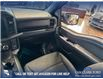 2024 Ford F-150 XLT (Stk: RC19955) in Airdrie - Image 25 of 25