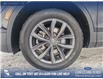 2023 Volkswagen Tiguan Comfortline (Stk: P1142) in Innisfail - Image 8 of 24