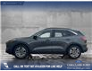 2020 Ford Escape SEL (Stk: P6817) in Olds - Image 3 of 25 2020 Ford Escape SEL (Stk: P6817) in Olds - Image 3 of 25