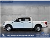 2023 Ford F-150 XLT (Stk: P14700) in Airdrie - Image 3 of 24