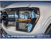 2023 Ford F-150 XLT (Stk: P14700) in Airdrie - Image 8 of 24